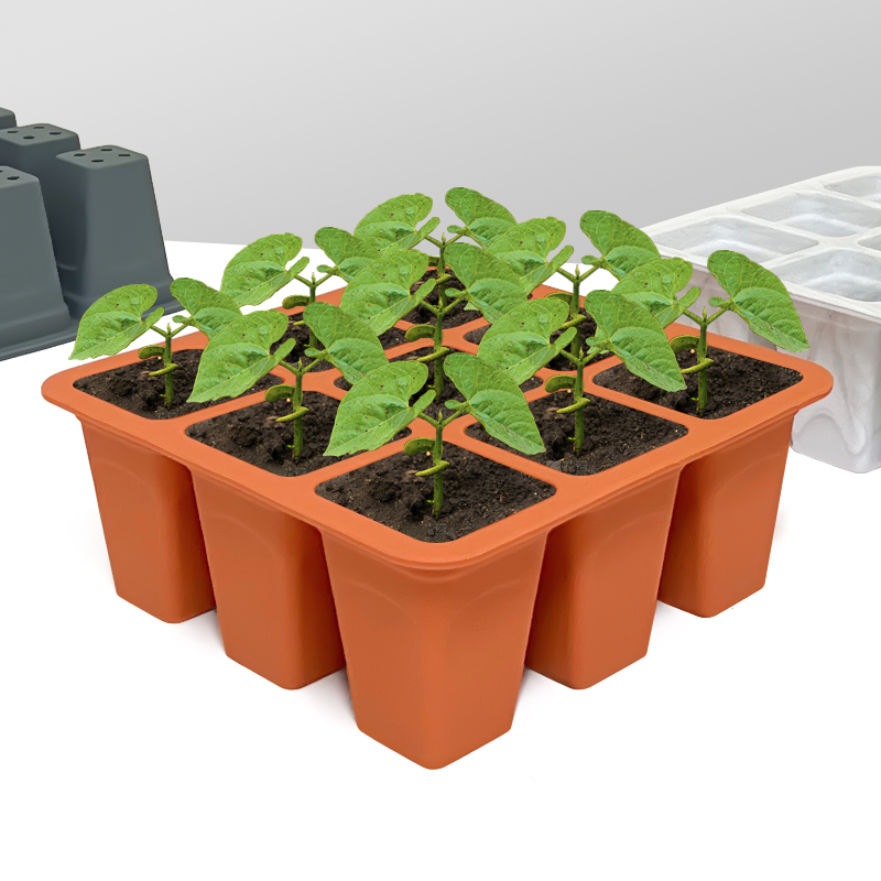 9구 실리콘 채소 묘목 트레이 온실 육묘용 묘목 발아  - Seed Starter Tray 리뷰 및 가격