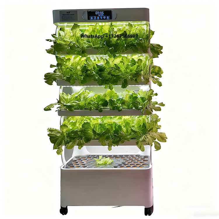 스마트 수직 수경 재배 시스템 - LED 재배등이 장착 - Grow Light Led 리뷰 및 가격