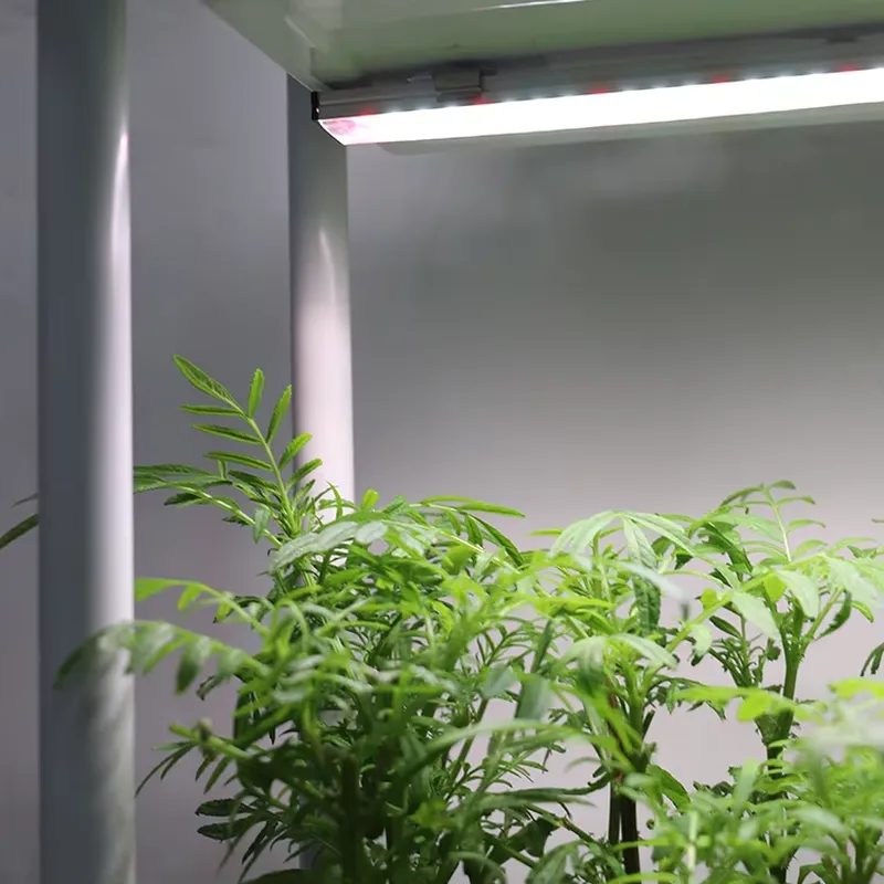 이동식 수직형 3단 자동 급수 스마트 정원 화분 스탠드 - Indoor Herb Garden 리뷰 및 가격