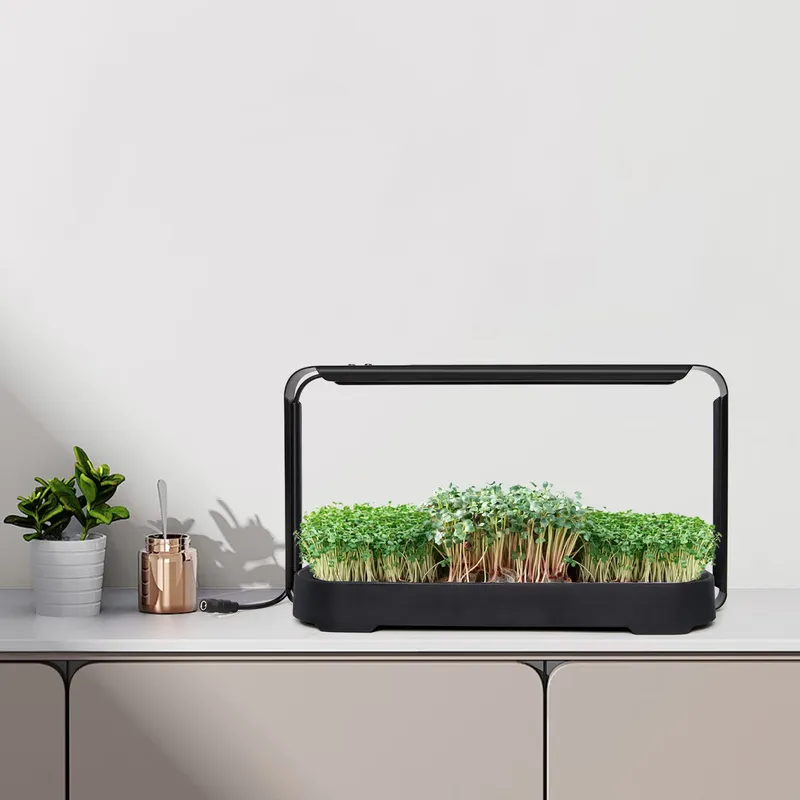마이크로그린 자동 급수 수경재배 시스템(재배등 포함)  - Self Watering Planter 리뷰 및 가격