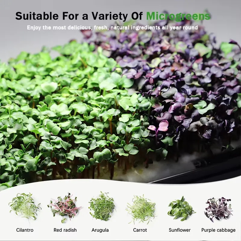 마이크로그린 자동 급수 수경재배 시스템(재배등 포함)  - Self Watering Planter 리뷰 및 가격