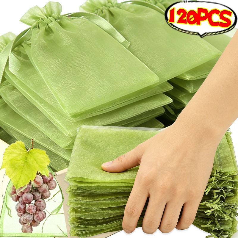 10/120x Organza 과일 보호 가방 정원 식물 - Grow Bag 리뷰 및 가격