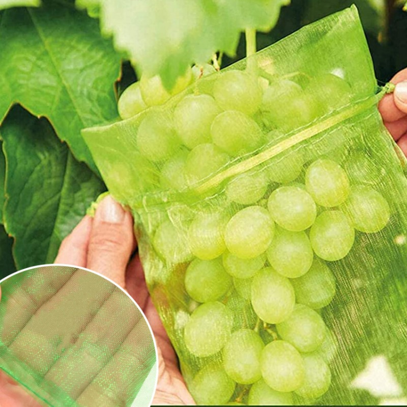 10/120x Organza 과일 보호 가방 정원 식물 - Grow Bag 리뷰 및 가격