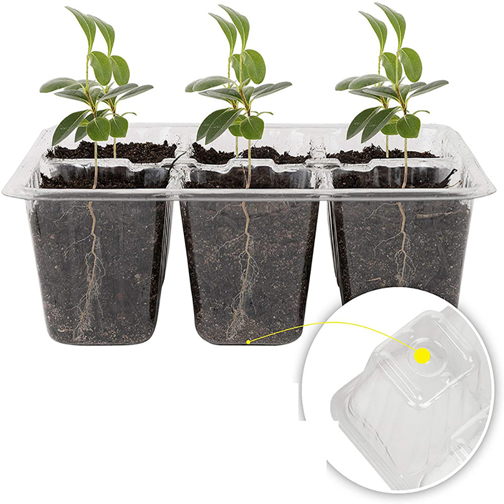 성장 조명이 있는 시드 스타터 트레이, 습도 돔 커버가 - Seed Starter Tray 리뷰 및 가격