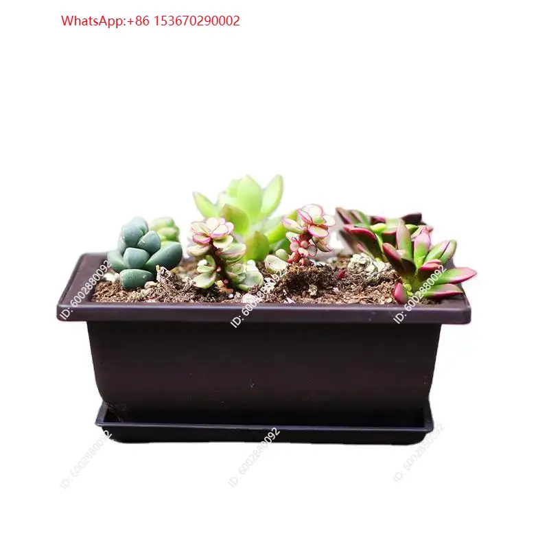 플라스틱 화분 1개, 받침대 포함, 발코니용 사각 화분 - Plant Pot 리뷰 및 가격